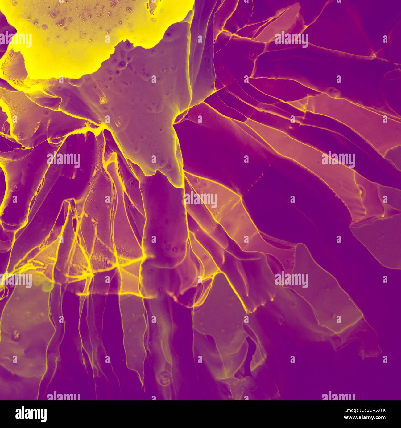 Inchiostro a base di alcool sfondo chiaro. Colori dell'inchiostro dell'alcool traslucidi Chiusure del dipinto. Flow liquido acquerello vernice spruzzi effetto texture illustrazione. Foto Stock