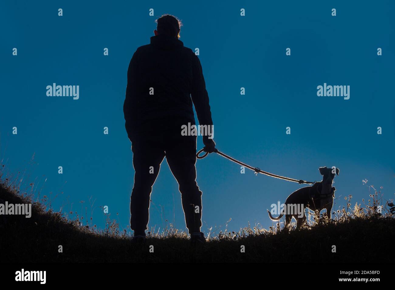 Foto di Silhoutte di Man Walking con il cane preso Sullo sfondo del sole diretto Foto Stock