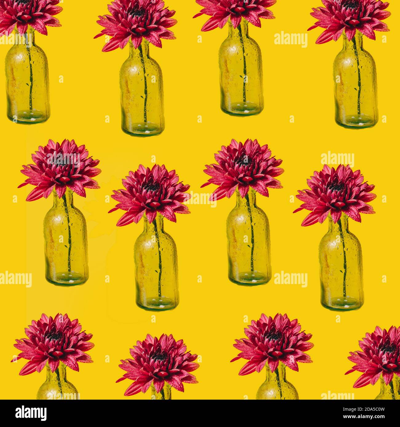 set di fiori in vaso Foto Stock