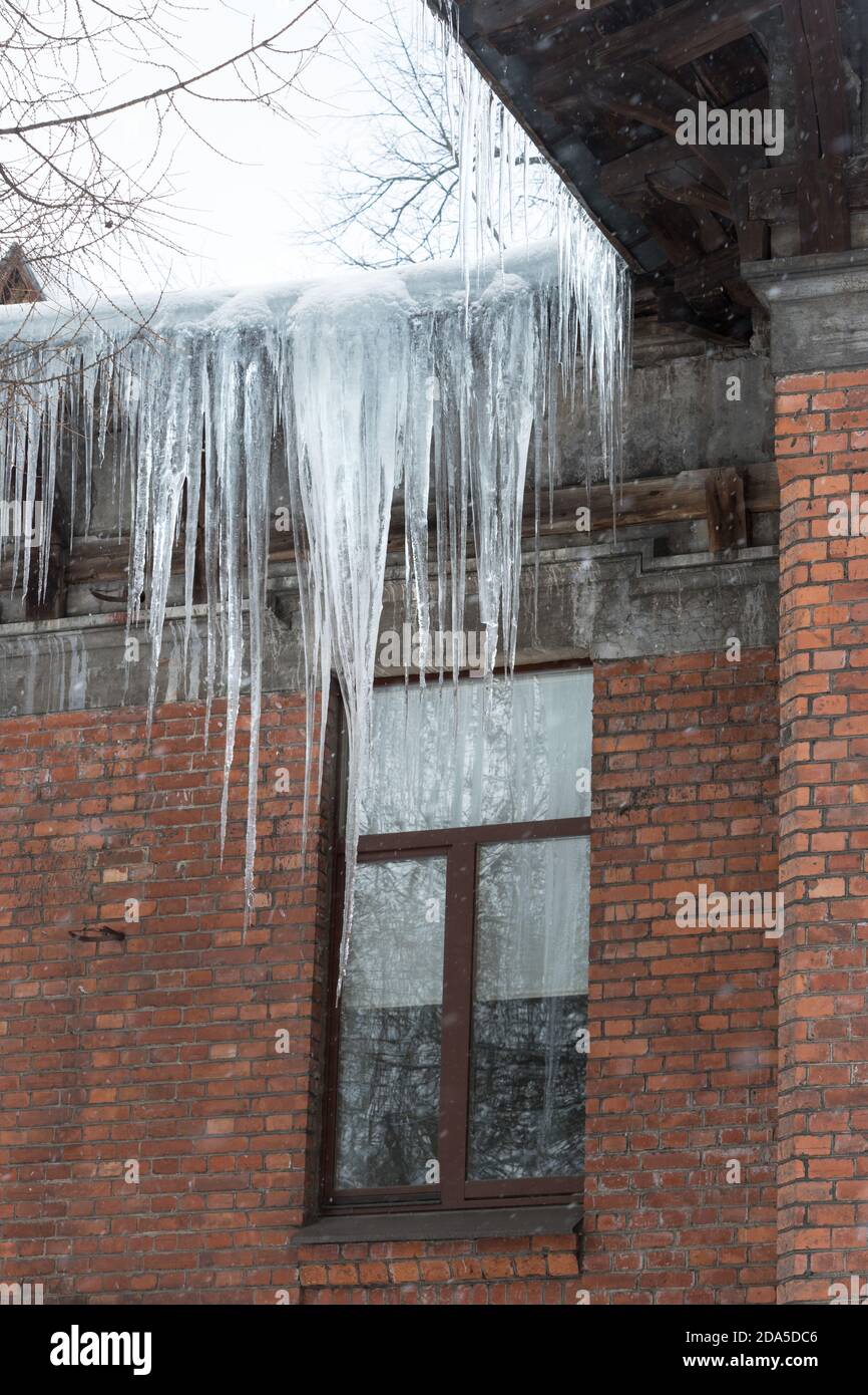 Stalattite di ghiaccio appesa al tetto con parete di legno. Edificio coperto di grandi icicles. Foto Stock