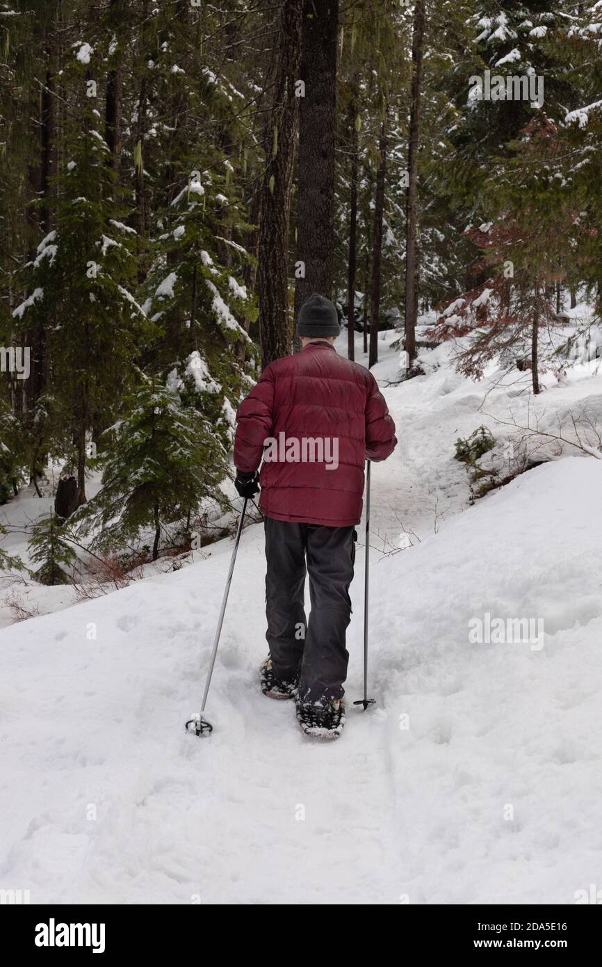 Uomo racchette da neve in Mountain Forest in inverno Foto Stock