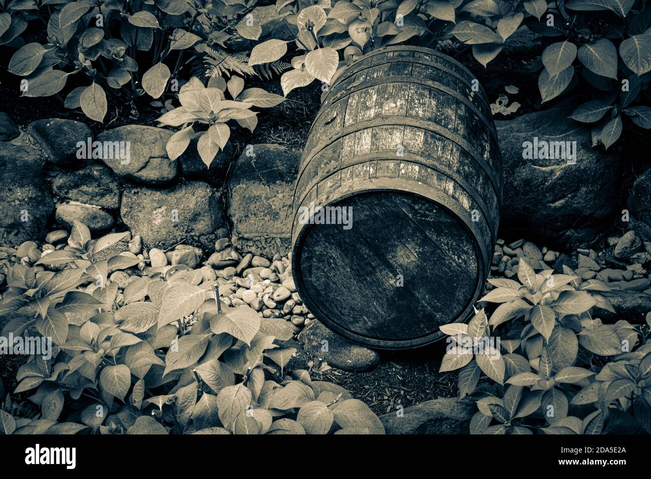 Un vecchio barile di quercia con fasce di acciaio arrugginite sul fondo di un letto di ruscello asciutto circondato da rocce di fiume e piante verdi e montane in tonalità split Foto Stock