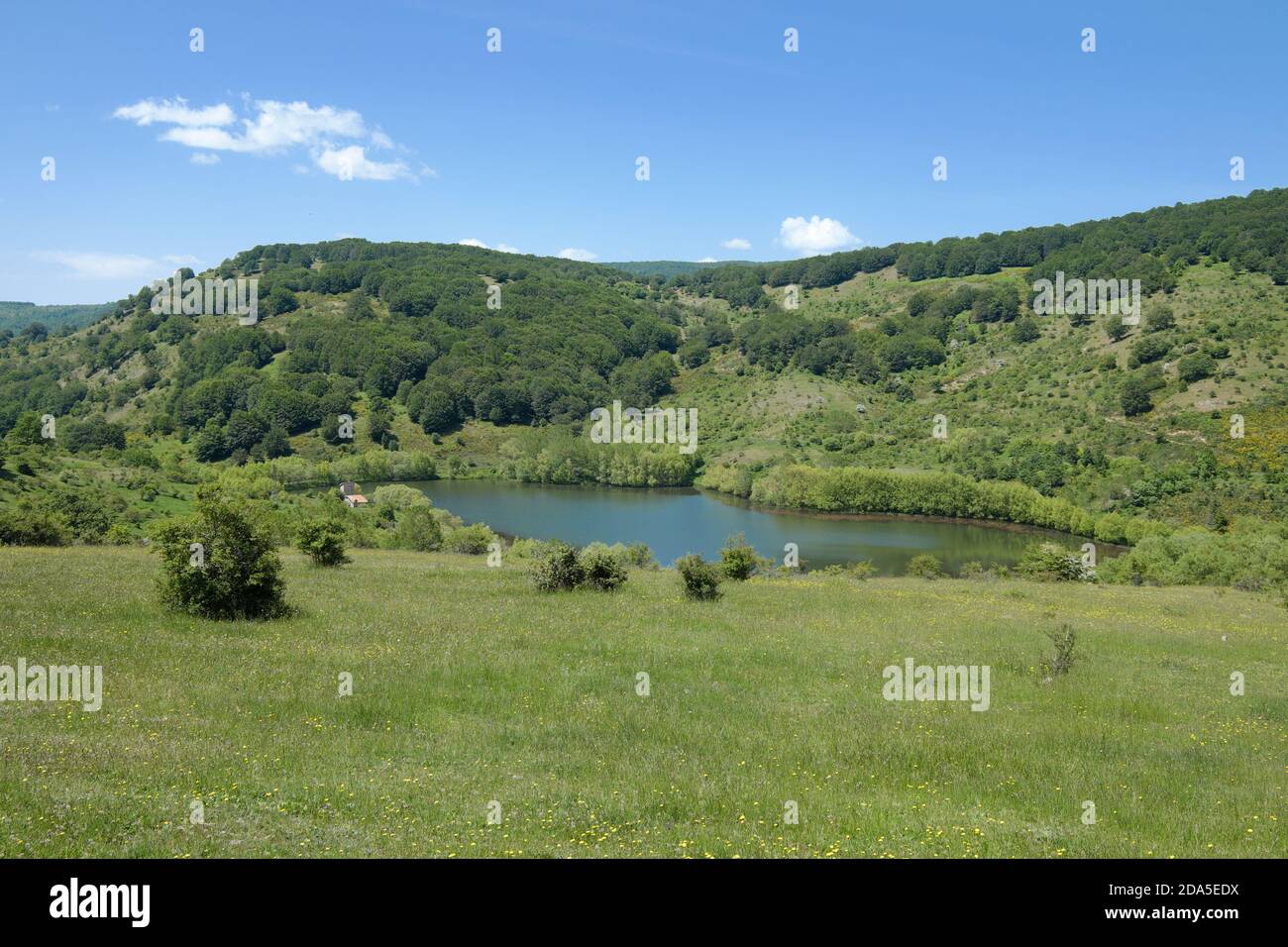 Paesaggio idilliaco del lago di Cartolari nel Parco dei Nebrodi, Sicilia Foto Stock