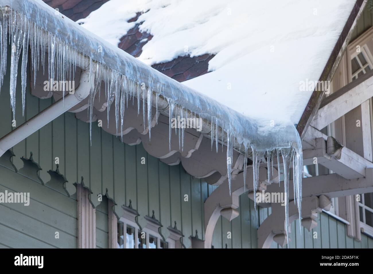 Stalattite di ghiaccio appesa al tetto con parete di legno. Edificio coperto di grandi icicles Foto Stock