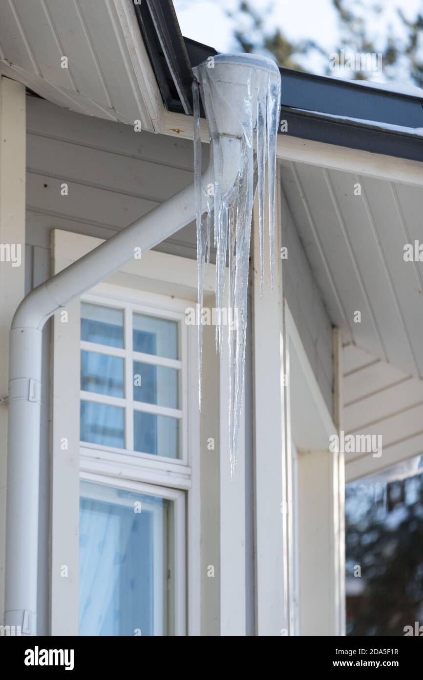 Stalattite di ghiaccio appesa al tetto con parete di legno. Edificio coperto di grandi icicles. Foto Stock