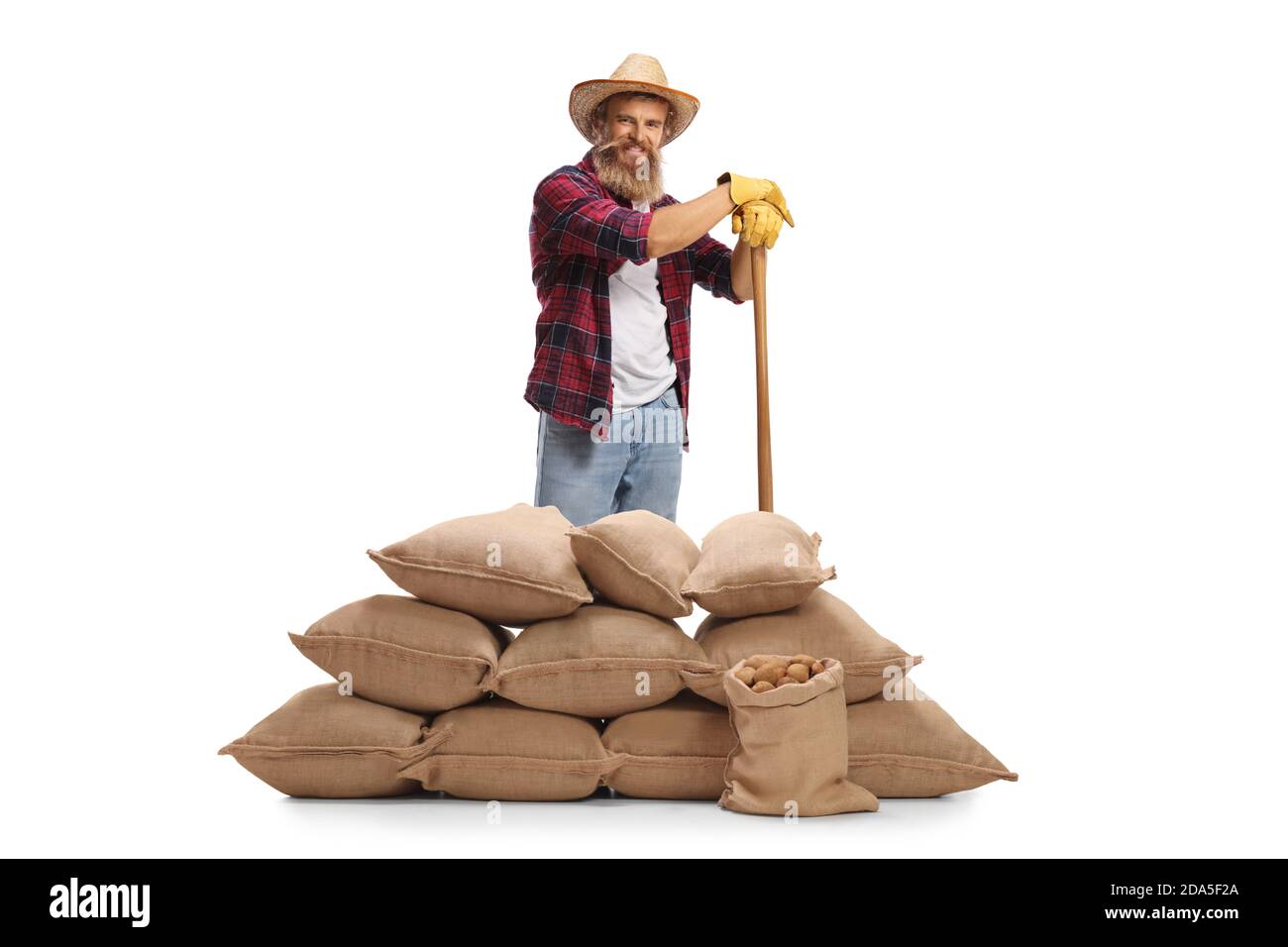 Coltivatore con un cappello di paglia e una pala dietro il burlap sacchi con patate isolate su sfondo bianco Foto Stock