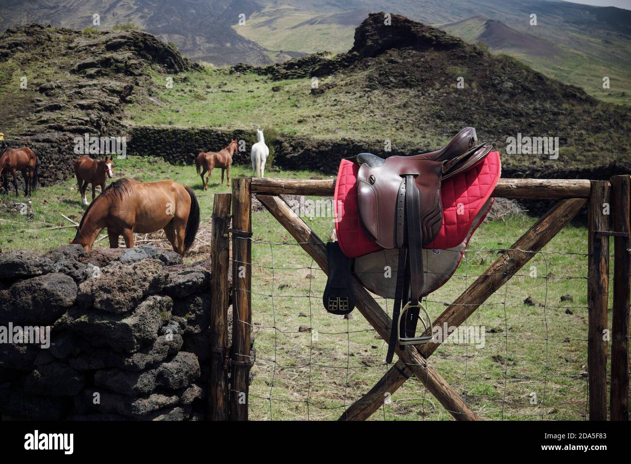 Sella in pelle marrone con imbottitura a sella rossa e staffe su recinzione in legno nel Parco dell'Etna, Sicilia Foto Stock