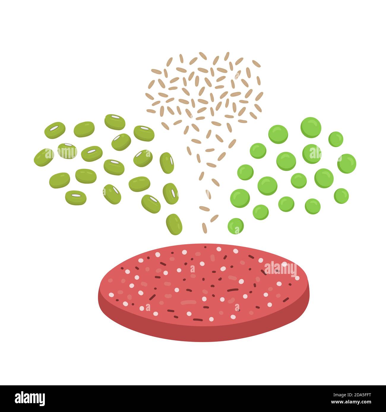 Ingredienti di carne a base di piante. Fagioli Mung, riso marrone e piselli che versano in polpettine di hamburger meatless. Concetto di cibo vegano biologico. Immagine piatta vettoriale. Illustrazione Vettoriale