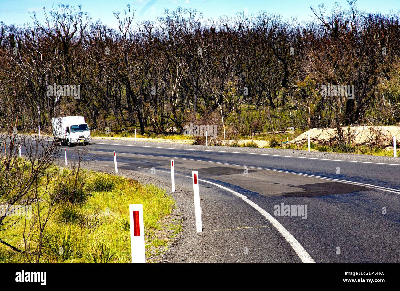 La vita continua quando il carrello di consegna passa lentamente attraverso gli alberi Recupero dagli incendi di cespugli devastanti nel sud del New South Wales Durante il recente Australia Foto Stock
