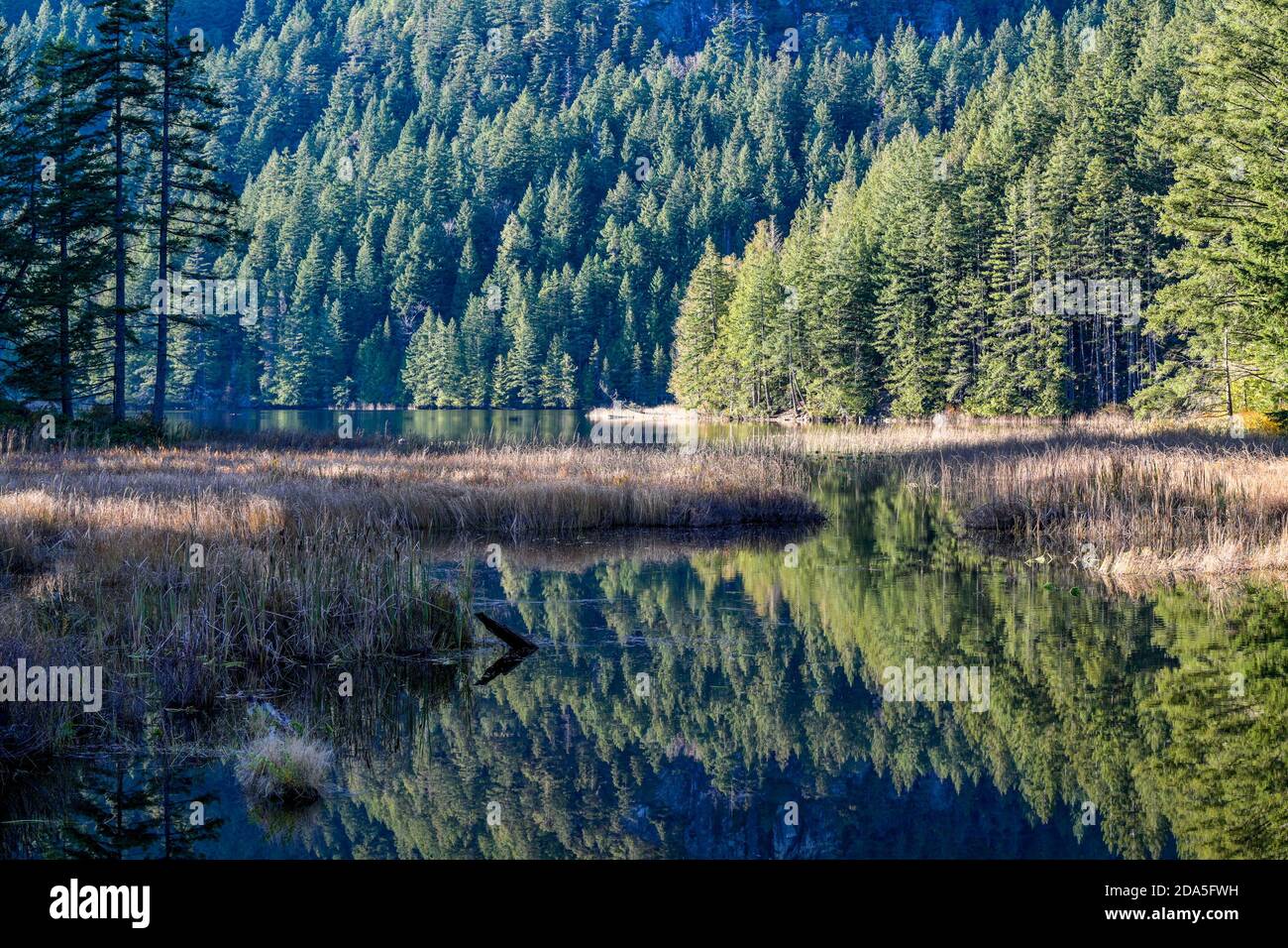 Grafton Lake, Bowen Island, British Columbia, Canada Foto Stock