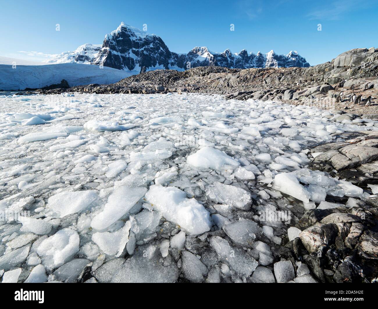 Alta marea ghiacciata a Jugla Point, Wiencke Island, Antartide. Foto Stock