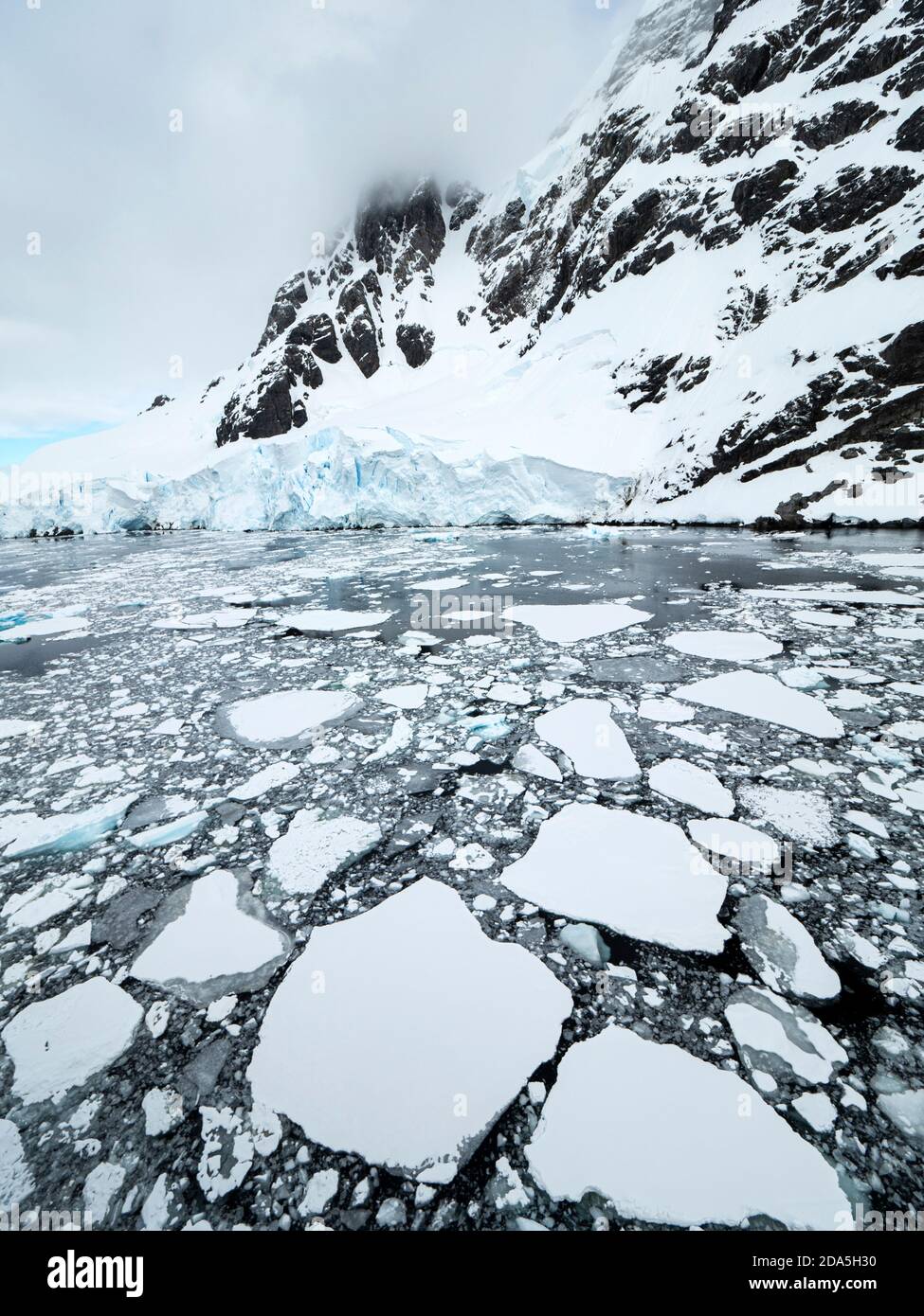 Acque ghiacciate che circondano le Isole Yalour, Antartide. Foto Stock