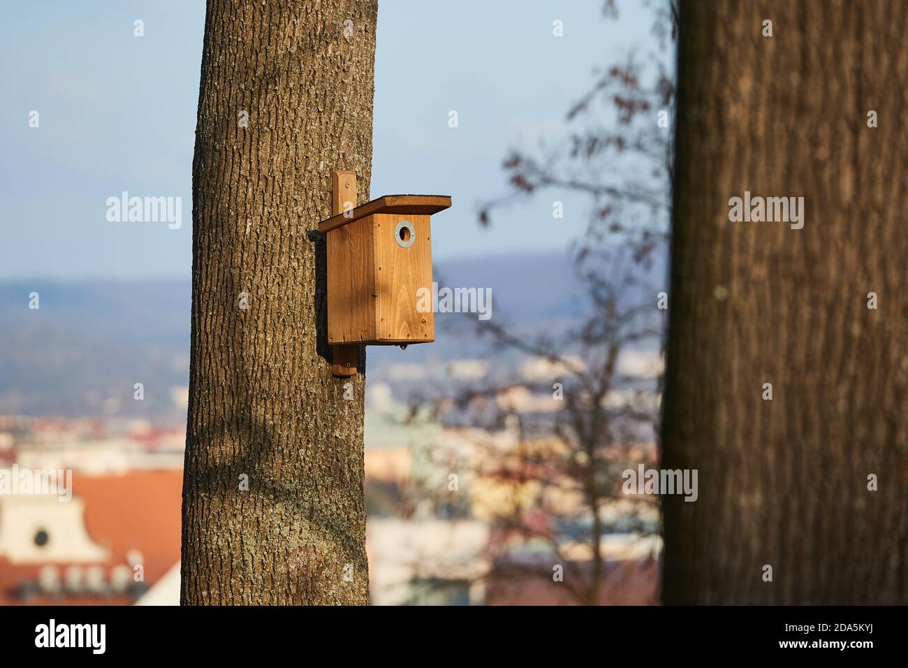 Alimentatore di uccelli in un parco Foto Stock