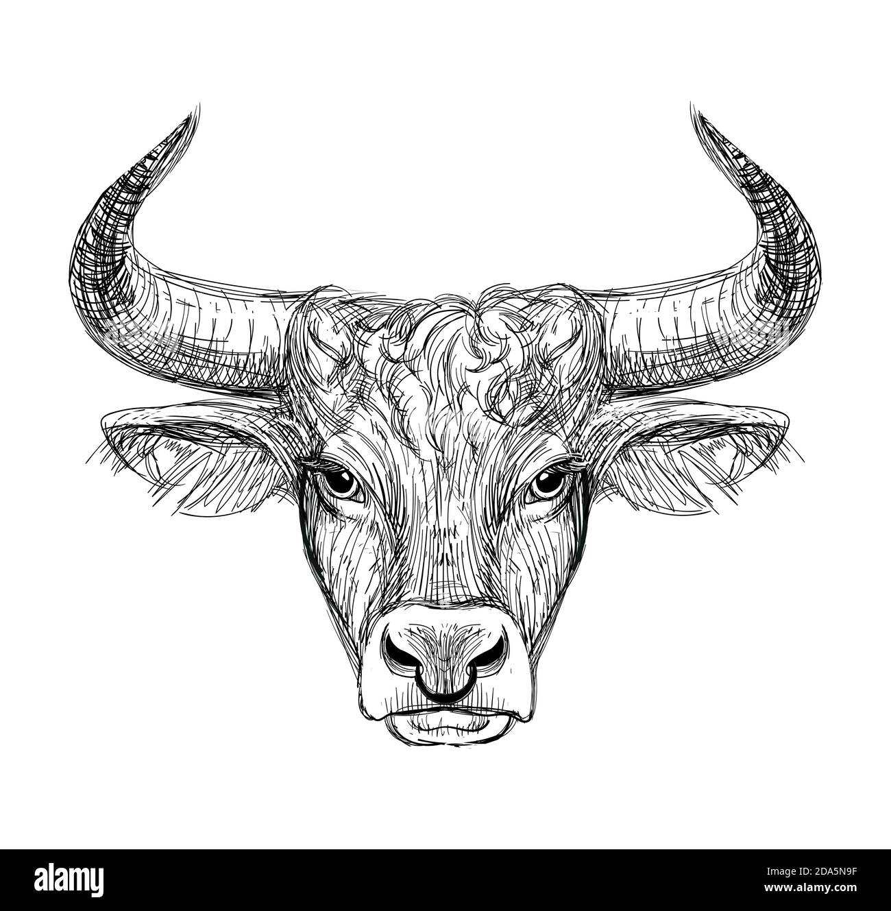 Felice anno nuovo 2021 della Ox, Ox-Taurus. Disegno lineare su sfondo nero, tarocchi, tatuaggio, oroscopo cinese, astrologia e segni zodiacali. Illustrazione vettoriale per poster, copertina, calendario, logo Illustrazione Vettoriale