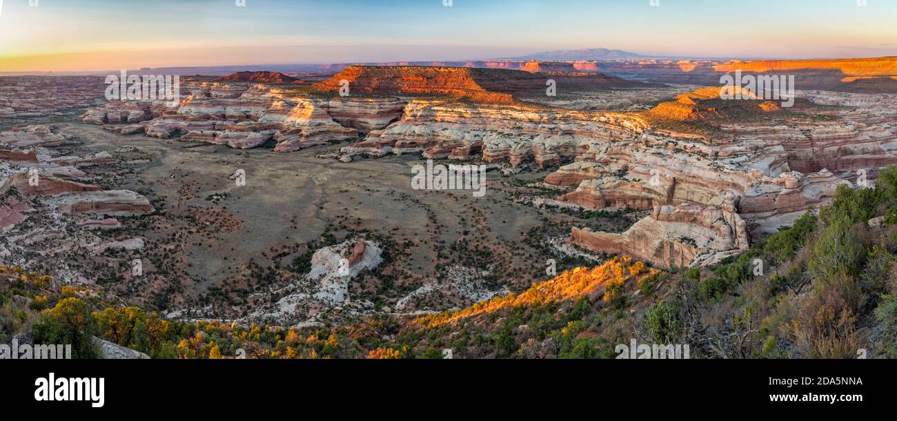 Guardando verso il basso su Big Pocket e Lavendar e Davis Canyons da Cathedral Point nel distretto di Needles del Canyonlands National Park, Utah. Foto Stock
