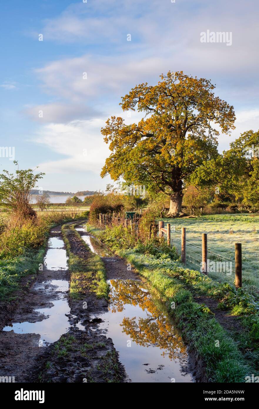 Paese corsia nella campagna del buckinghamshire vicino hambleden in autunno. Hambleden, Buckinghamshire, Inghilterra Foto Stock