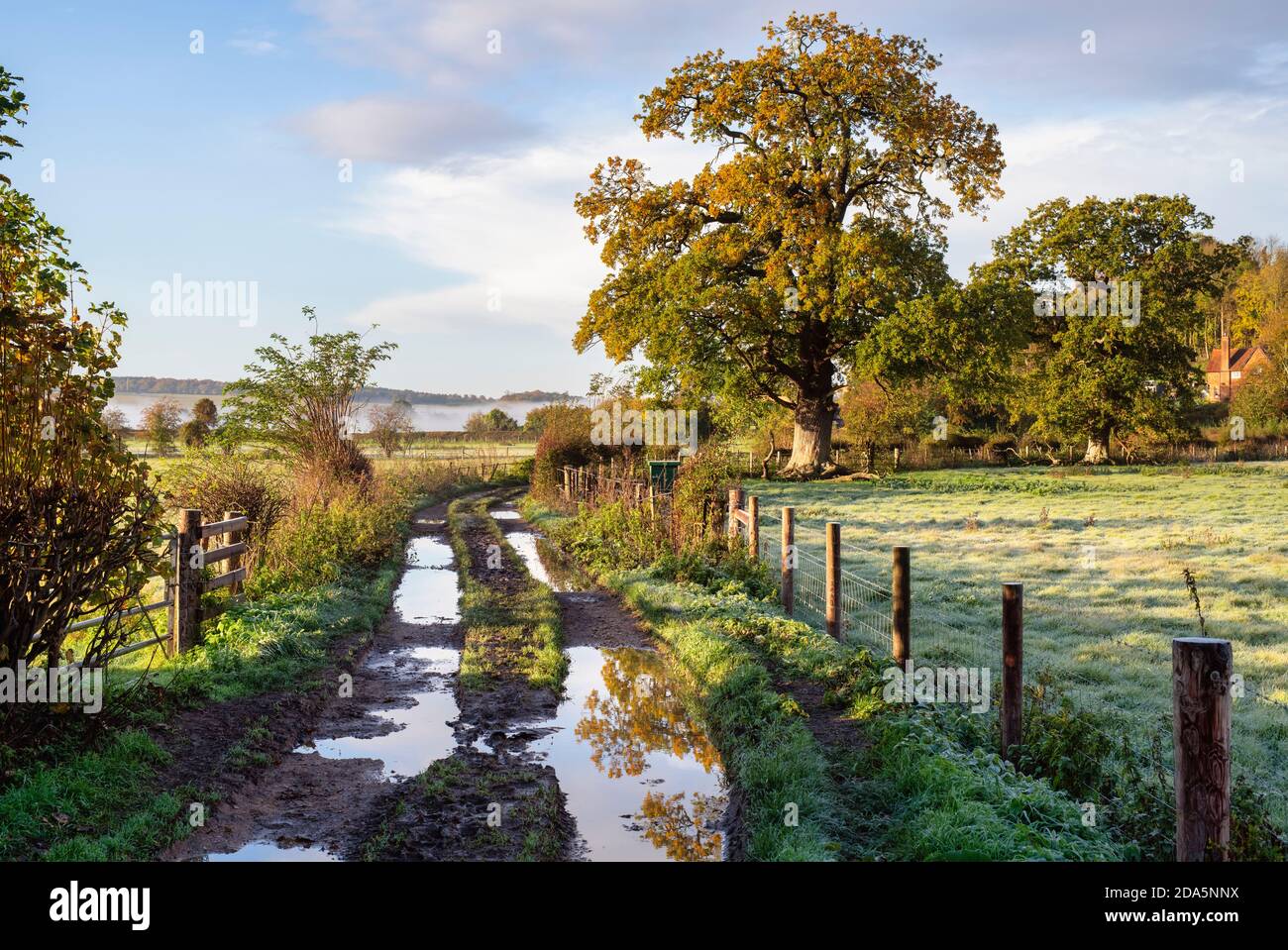Paese corsia nella campagna del buckinghamshire vicino hambleden in autunno. Hambleden, Buckinghamshire, Inghilterra Foto Stock
