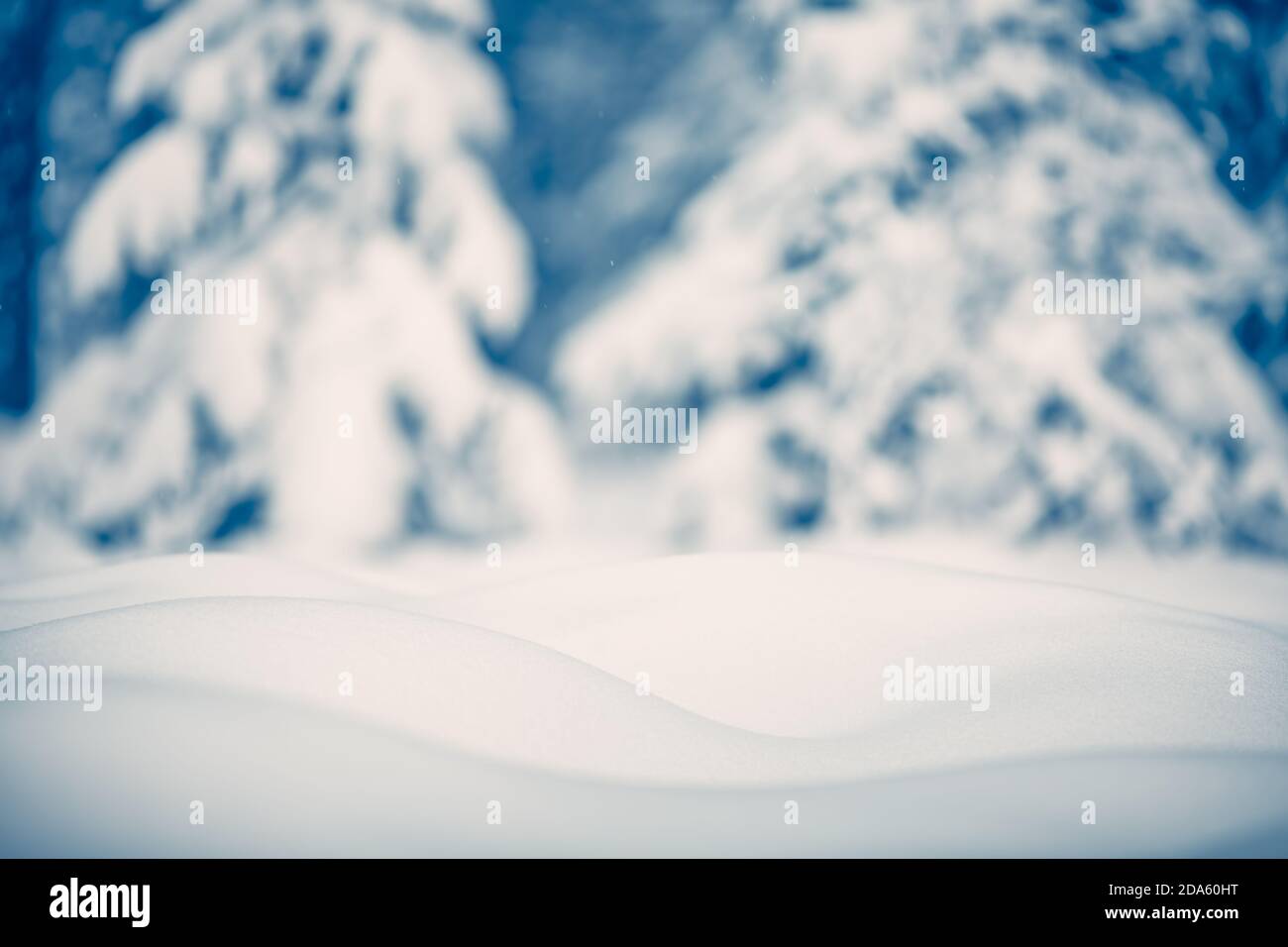 Inverno neve di fondo con alberi coperti di neve Foto Stock