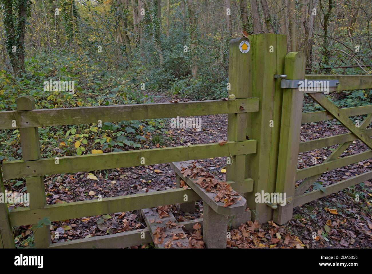 Un segno del sentiero del consiglio dello Shropshire indica la strada sopra a. stille e lungo un sentiero boschivo rurale coperto in autunno foglie Foto Stock