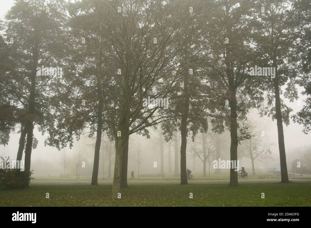 Strada alberata con ciclisti e pedoni in nebbia, scena autunnale al mattino presto a Bovenkarspel, Paesi Bassi Foto Stock