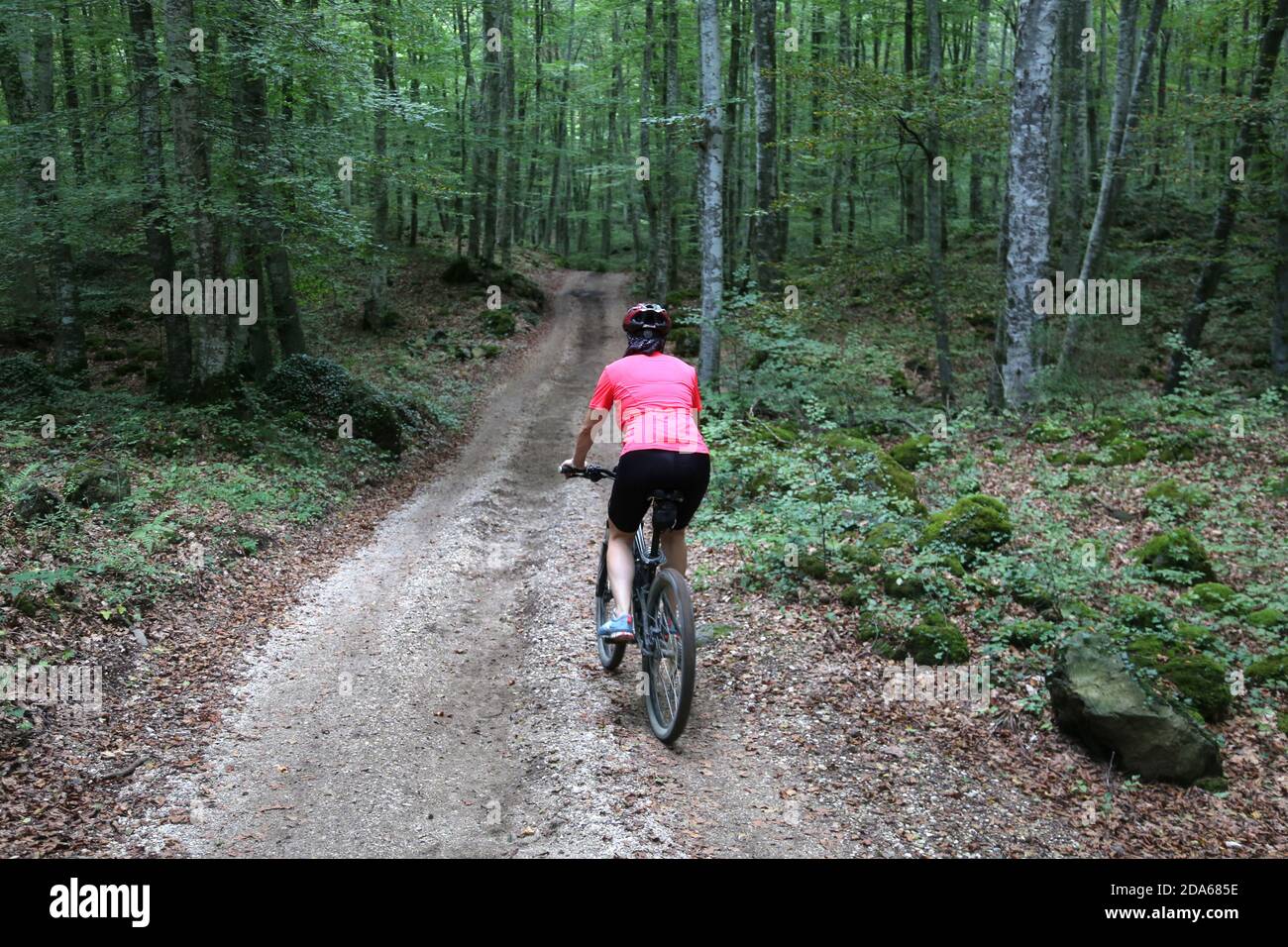 donna con bici nella foresta Foto Stock
