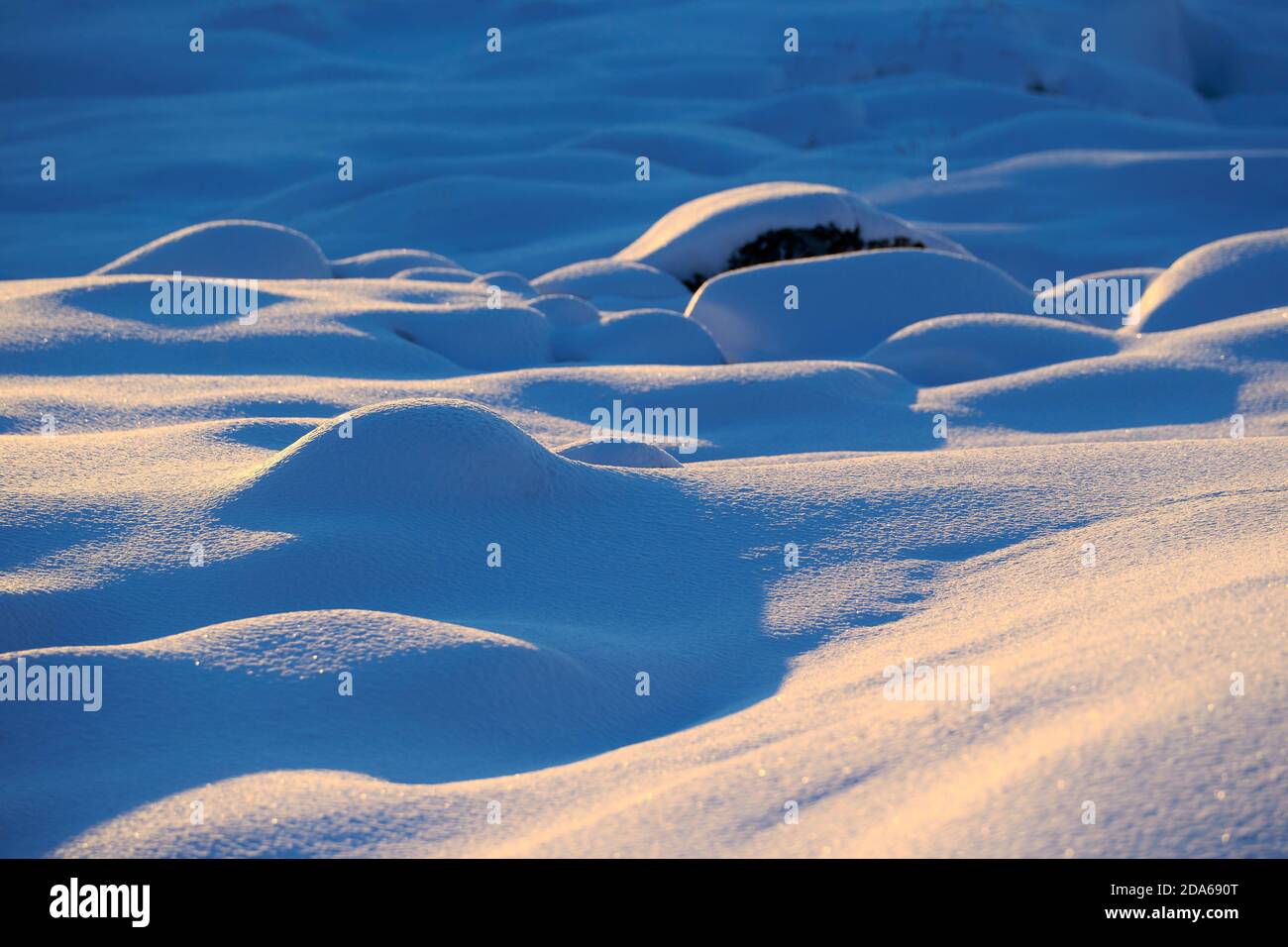 Primo piano dettaglio della neve in polvere e dei suoi modelli con piccole colline. I fiocchi di neve brillano alla luce del sole. Ilulissat, Baia di Disko, Groenlandia. Foto Stock