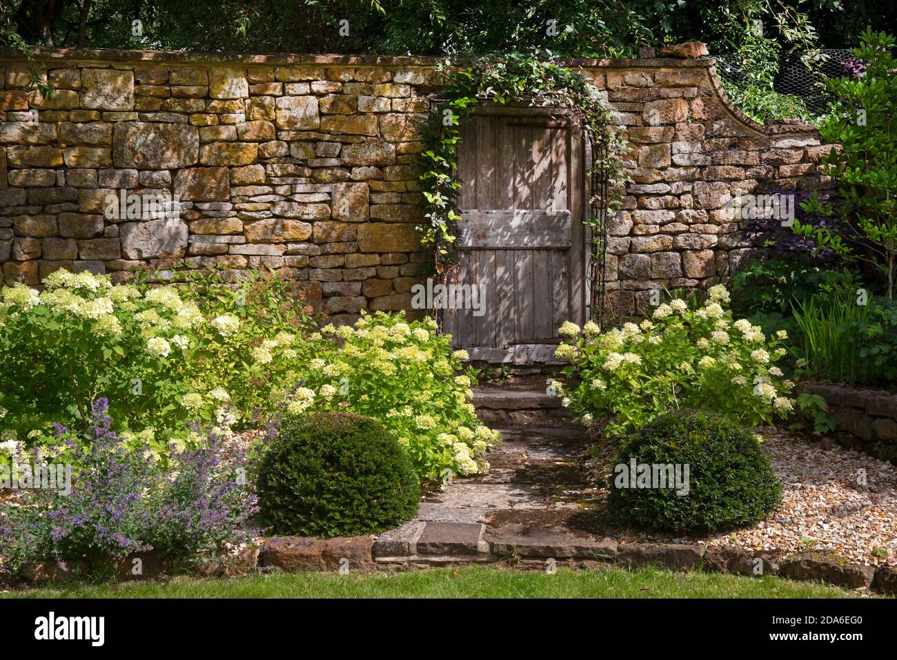 Porta di legno in pietra muro in inglese giardino, Inghilterra, Europa Foto Stock