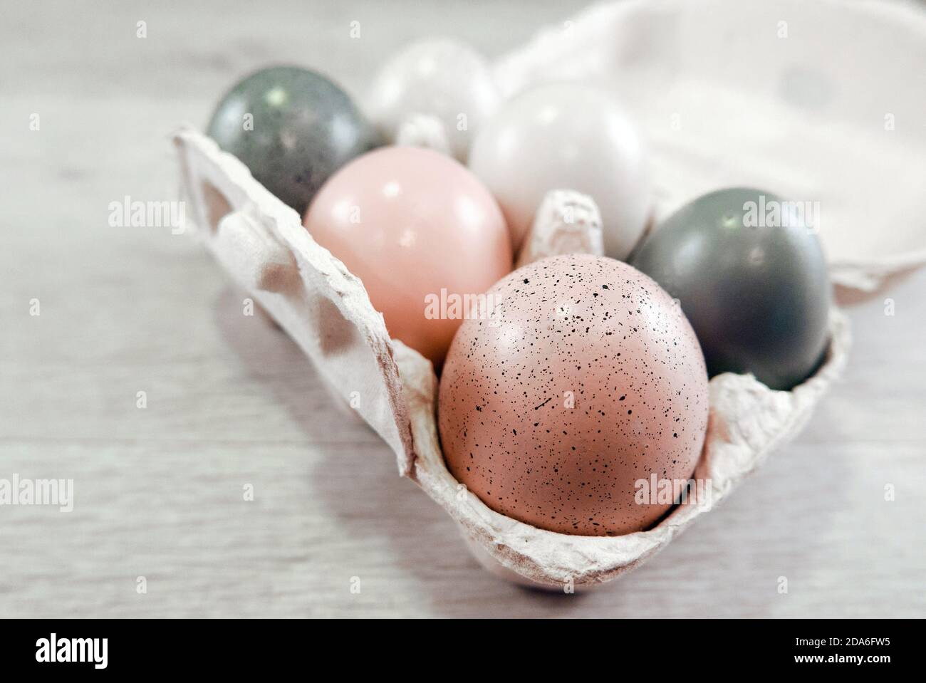 Primo piano fuoco selettivo di uova in cartone, pasqua. Foto Stock