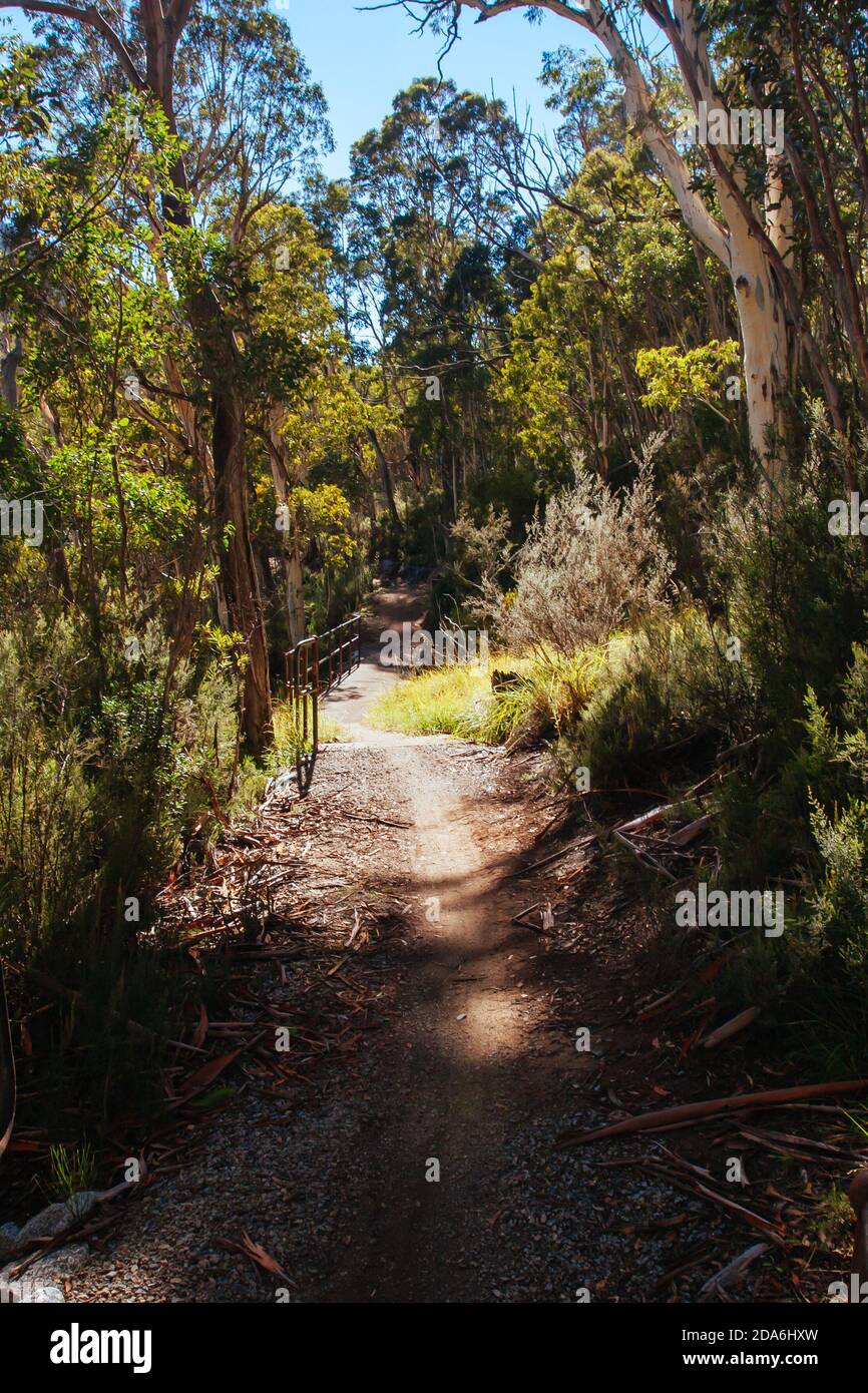 Pista di Thredo Valley nel nuovo Galles del Sud Australia Foto Stock
