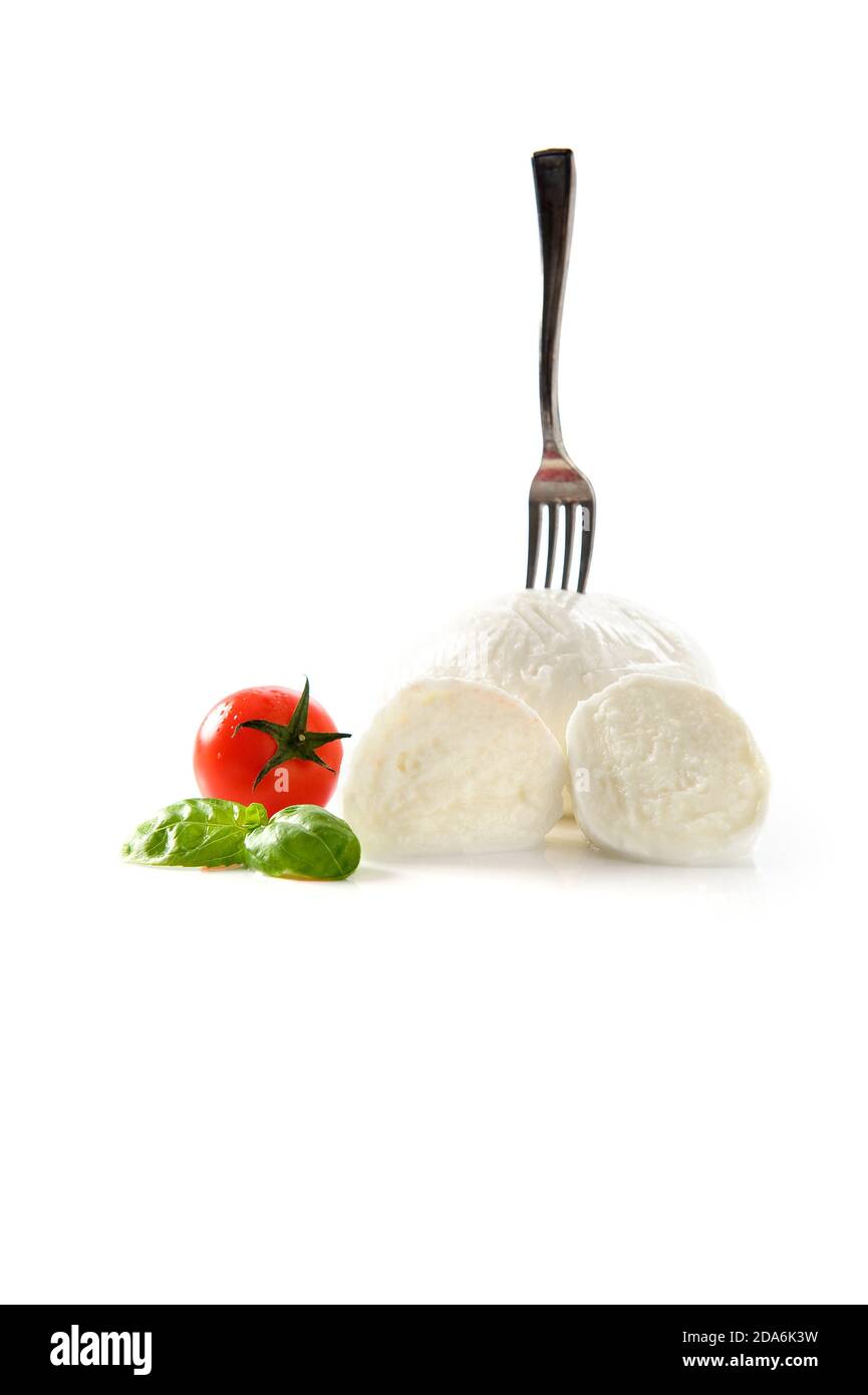 Piatto italiano elegante e delizioso con mozzarella di bufala DOP Dalla Campania con forchetta spiedata e pomodoro con basilico su sfondo bianco Foto Stock