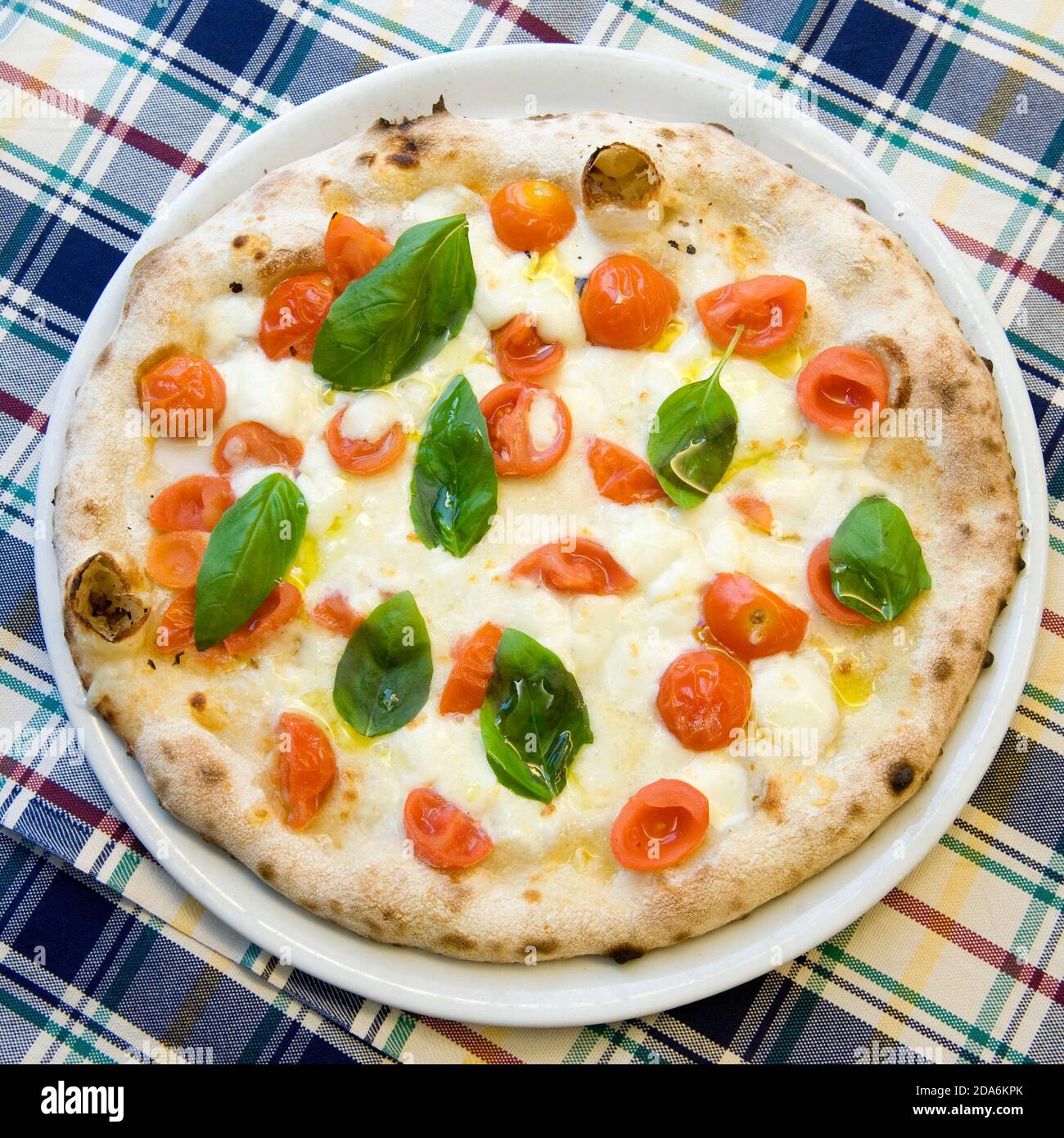 una vera e propria pizza vegetale italiana in un piatto, pomodoro di ciliegia, mozzarella e basilico, vista dall'alto su una tovaglia di plaid Foto Stock