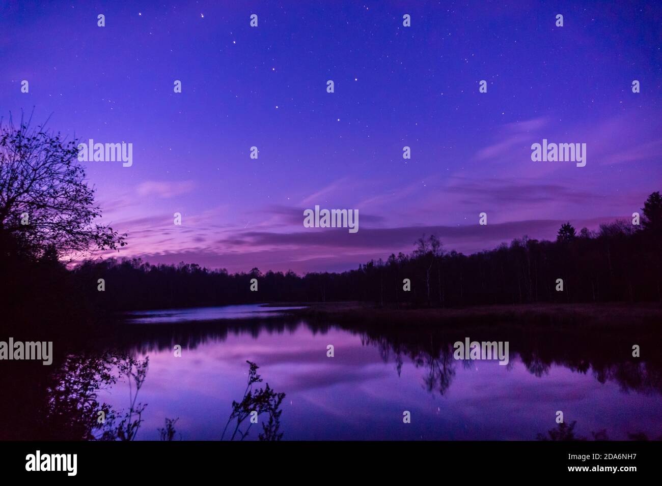 Lago di Bog in germania alla rottura notte con grande orso sopra Foto Stock
