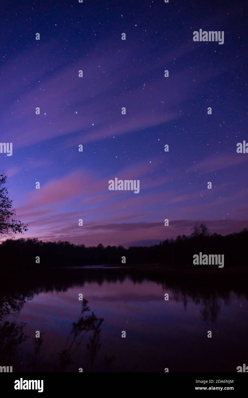 Lago di Bog in germania alla rottura notte con grande orso sopra Foto Stock