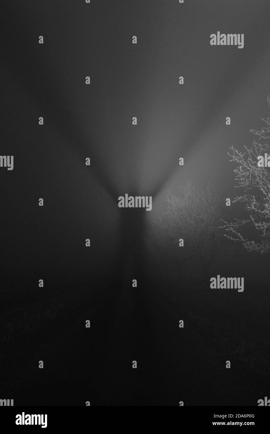 Ombra di un uomo, nei raggi di luce nella notte nebbiosa Foto Stock