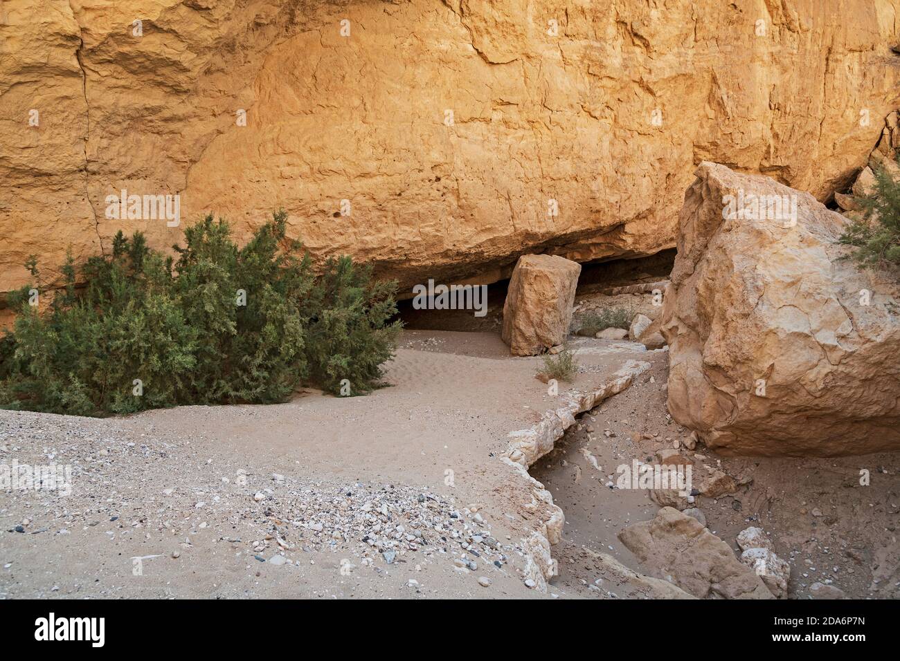 l'ingresso alla grotta nekarot in nahal nekarot in il cratere di makhtesh ramon in israele è quasi nascosto escursionisti da cespugli e massi Foto Stock