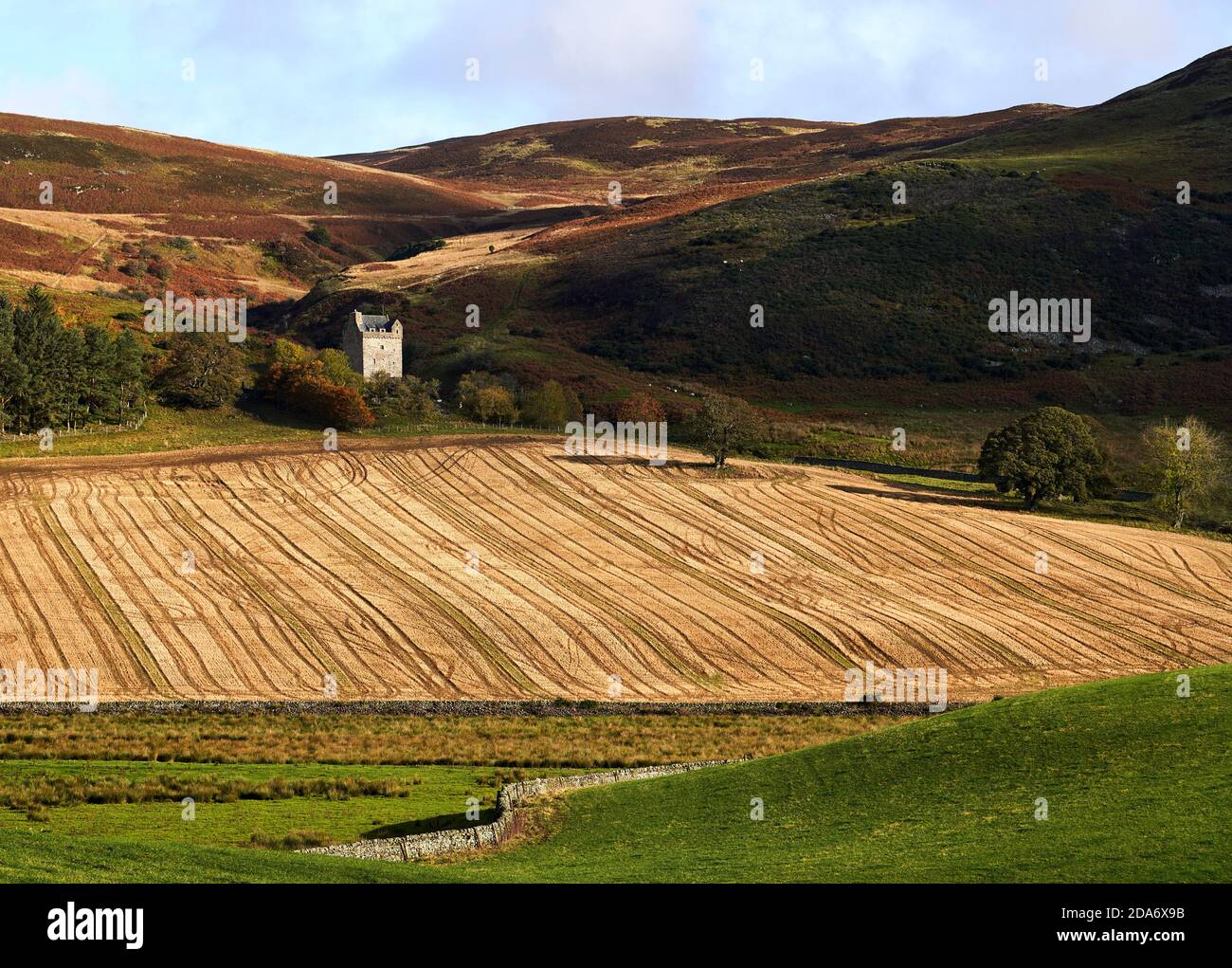 Kirkhope Tower, una Pele scozzese vicino Ettrickbridge sotto il sole d'autunno. Foto Stock