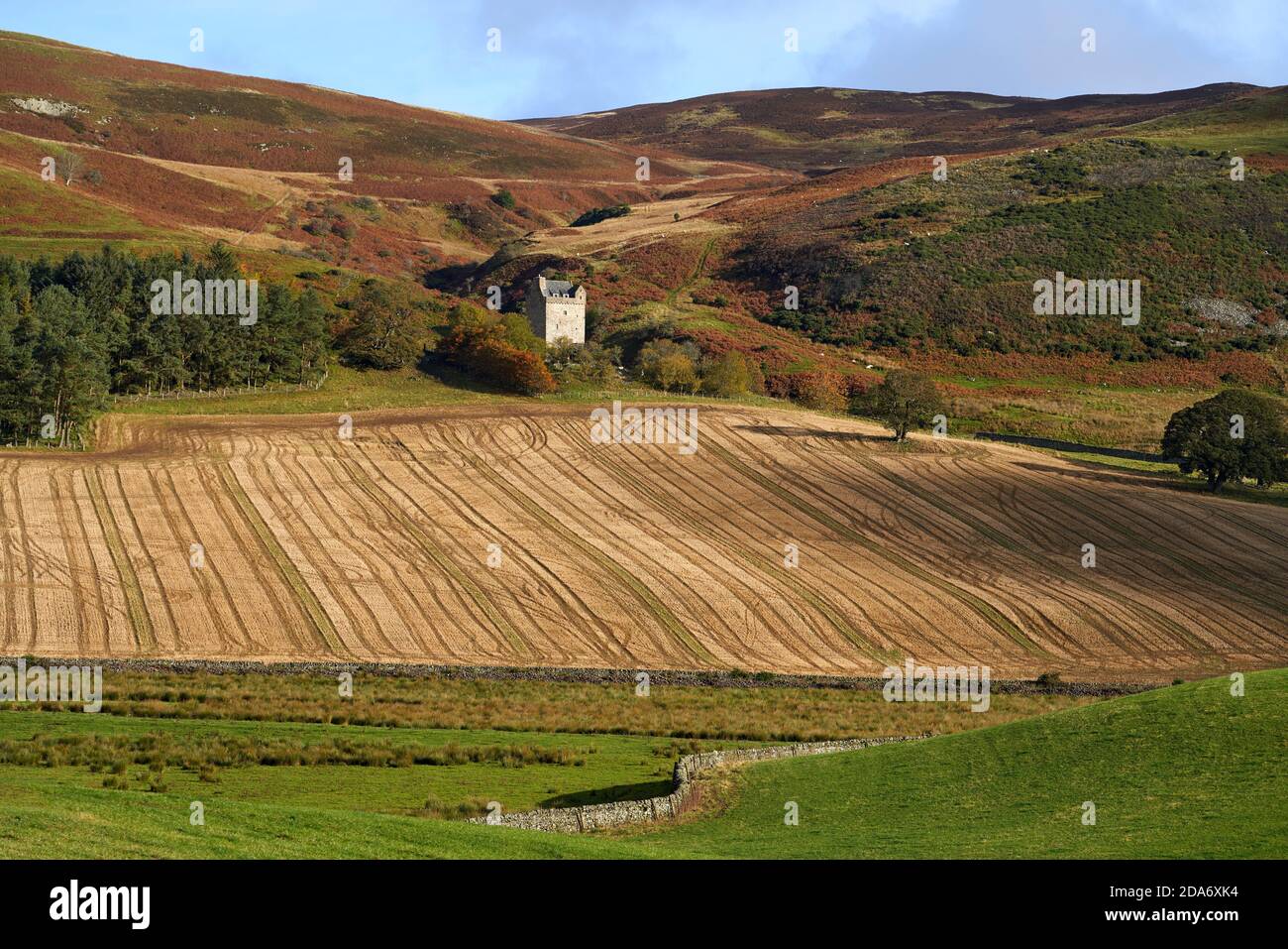 Kirkhope Tower, una torre scozzese della peluche vicino a Ettrickbridge sotto il sole d'autunno. Foto Stock