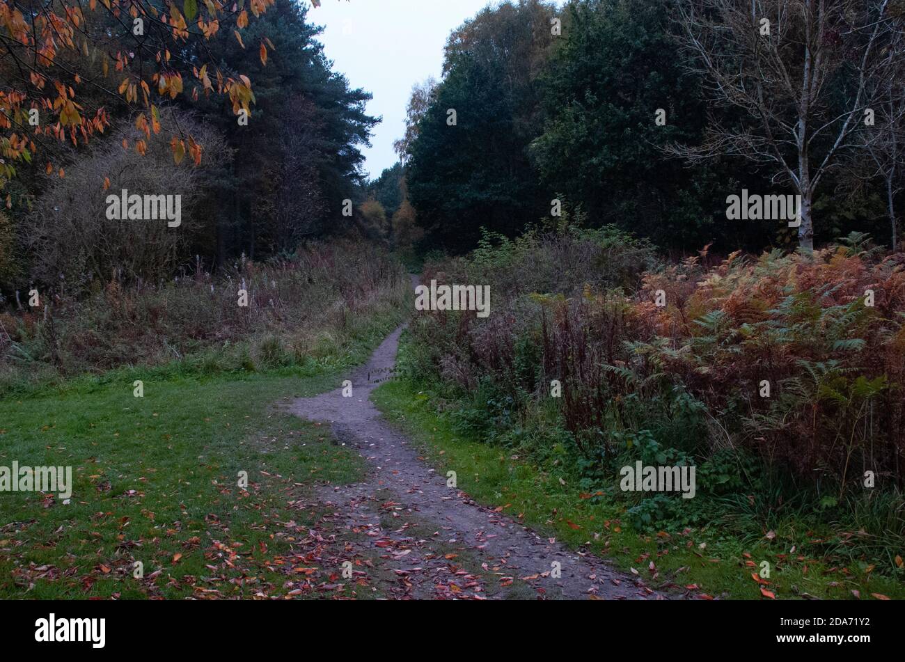 Sutton Bank, Yorkshire Foto Stock
