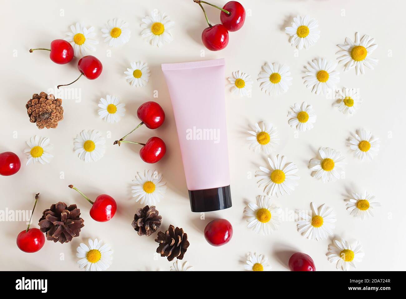 Mockup di tubo cosmetico rosa schiacciato con tappo nero, camomili, bacche di ciliegia e coni di abete su sfondo avorio. Cosmetici naturali biologici spa conce Foto Stock