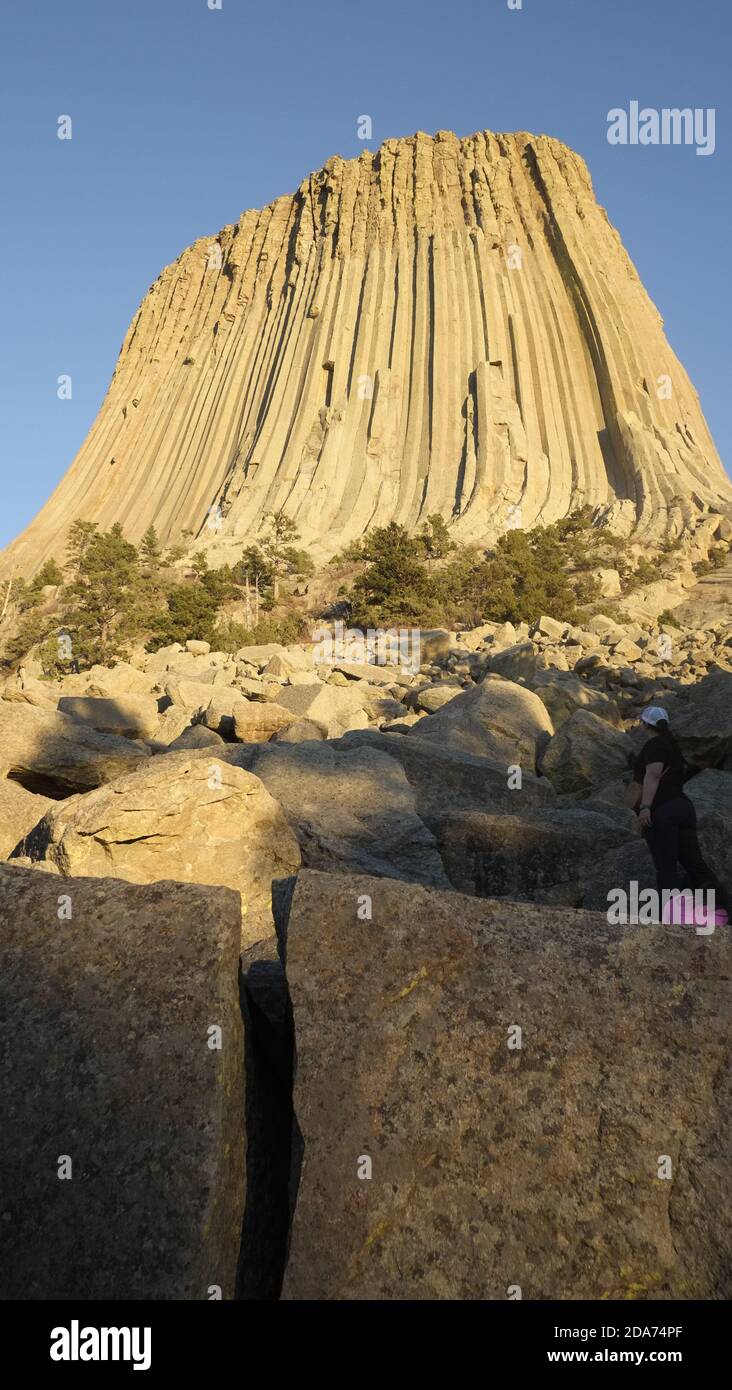Devils Tower è stato il primo monumento nazionale degli Stati Uniti, fondato il 24 settembre 1906 dal presidente Theodore Roosevelt Foto Stock