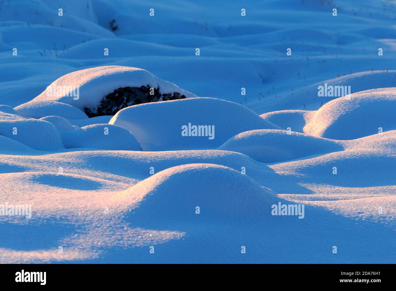Dettaglio in primo piano della neve fresca in polvere e dei suoi motivi con piccole colline. I fiocchi di neve brillano nella luce. Ilulissat, Baia di Disko, Groenlandia. Foto Stock