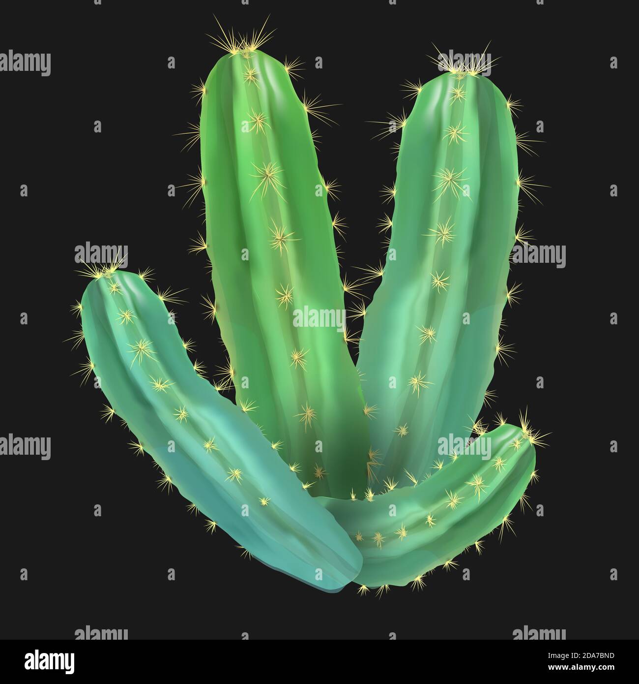 Realistico deserto cactus pera di prickly. Illustrazione Vettoriale