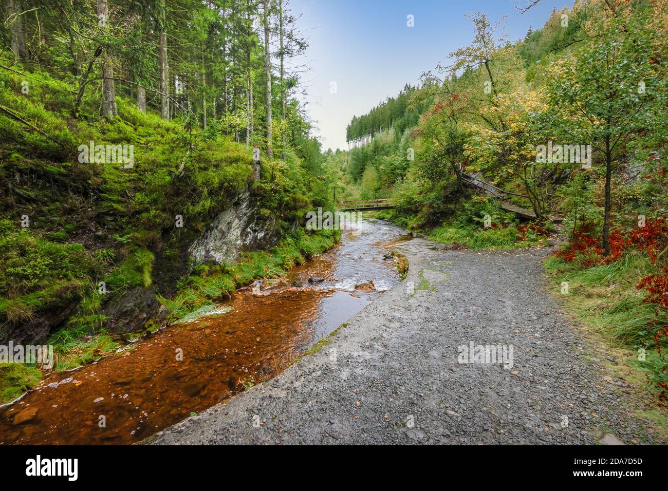 Sentiero escursionistico lungo un torrente attraverso la foresta nelle Ardenne belghe. Foto Stock