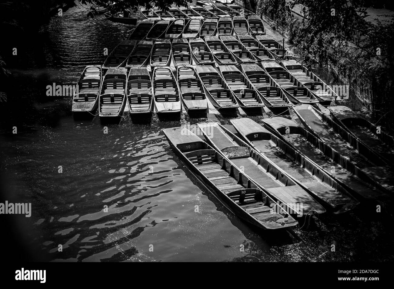 Punting barche di Magdalen Bridge Boathouse sul fiume Cherwell a Oxford, molte barche ormeggiate insieme in file. Gruppo luminoso e colorato di imbarcazioni lunghe Foto Stock