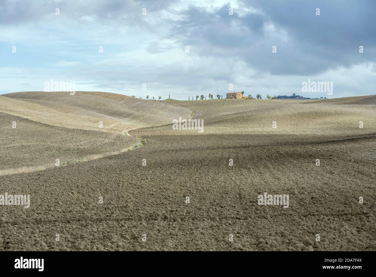 Paesaggio con lievi pendii di colline arate nella campagna toscana, girato in luce intensa vicino a Biancamicia, Siena, Toscana, Italia Foto Stock
