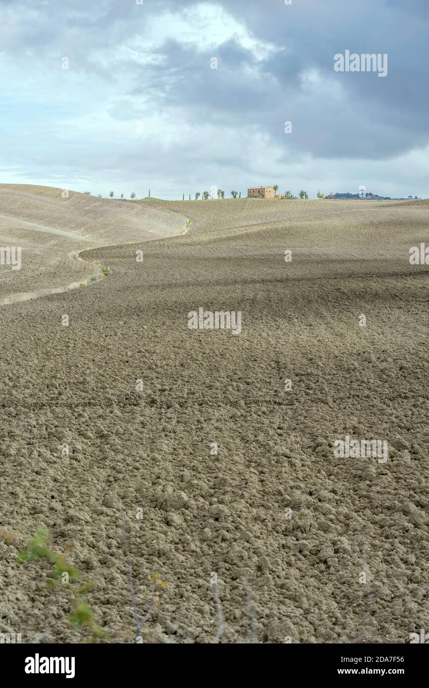 Paesaggio con solchi di chiodi di garofano su lievi pendii di colline arate nella campagna toscana, girato in luce intensa vicino a Biancamamicia, Siena, Toscana, Italia Foto Stock