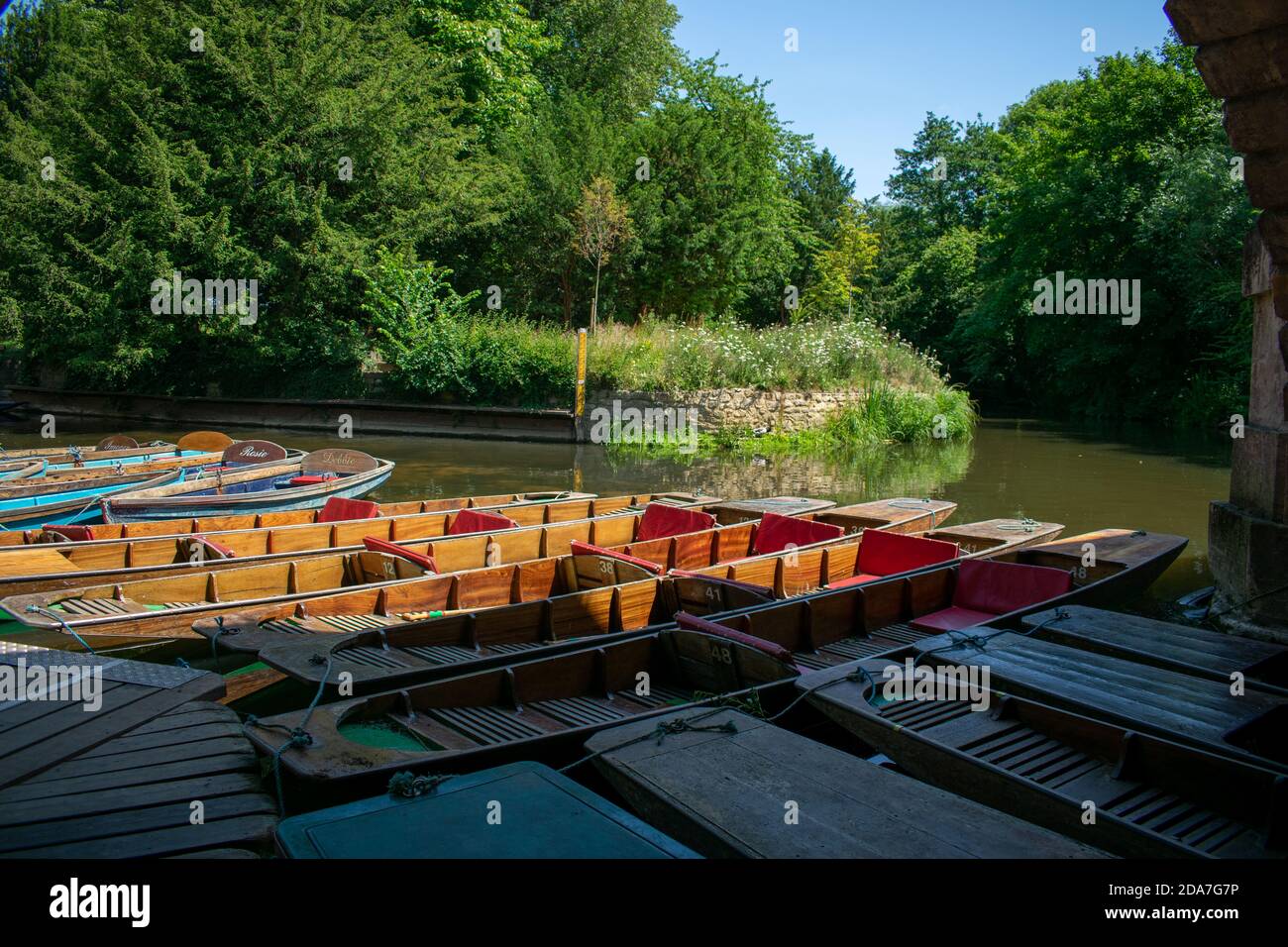 Punting barche di Magdalen Bridge Boathouse sul fiume Cherwell a Oxford, molte barche ormeggiate insieme in file. Gruppo luminoso e colorato di imbarcazioni lunghe Foto Stock