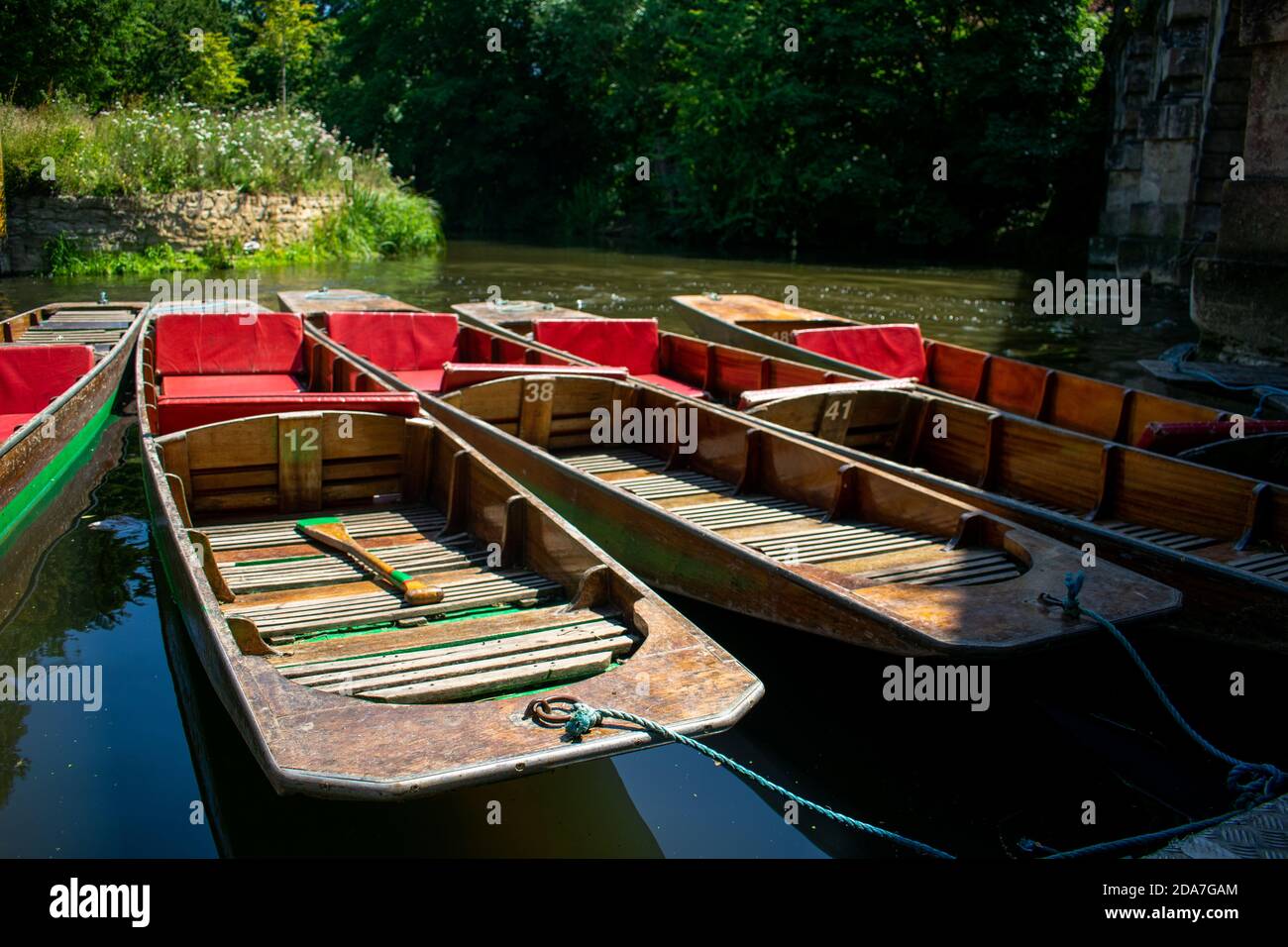 Punting barche di Magdalen Bridge Boathouse sul fiume Cherwell a Oxford, molte barche ormeggiate insieme in file. Gruppo luminoso e colorato di imbarcazioni lunghe Foto Stock