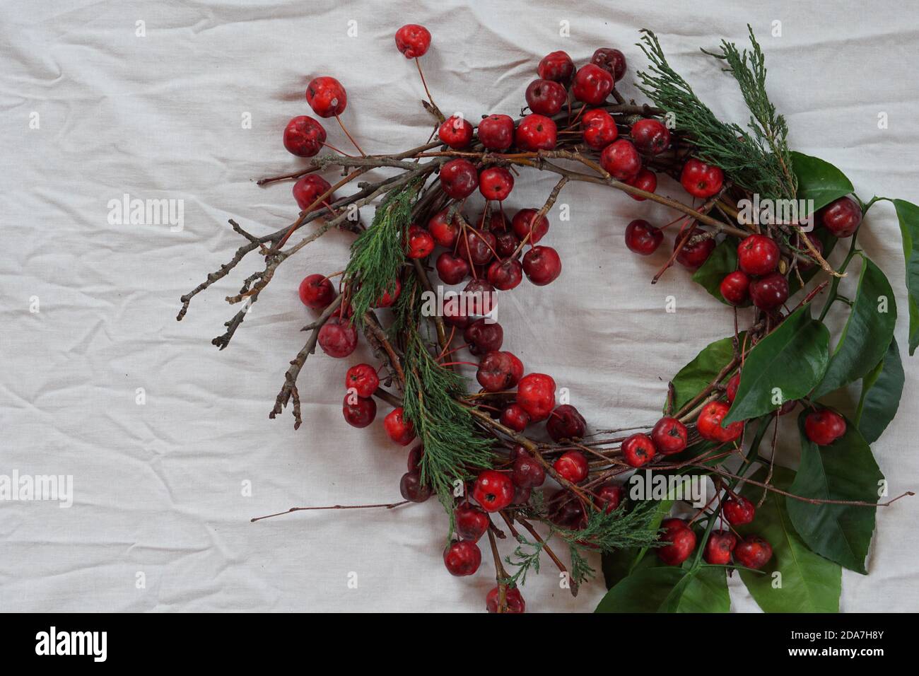 Naturale di Wreath da ramoscello con la mela rossa piccola selvatica (mela paradiso) e torsioni tangerine con foglie verdi su sfondo di linea bianca Foto Stock