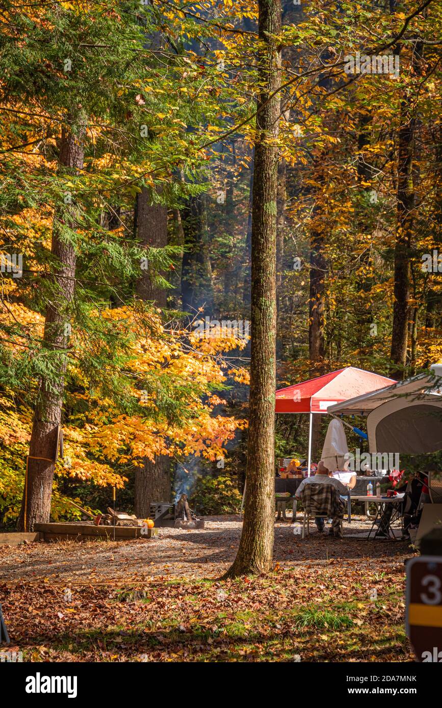 I campeggiatori si godono la bellezza della creazione di Dio mentre il fumo del fuoco svetta attraverso le brillanti foglie autunnali illuminate al sole al Vogel state Park nella Georgia del Nord. Foto Stock